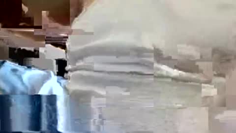 allman617 online show from November 2025 06:07:02 PM