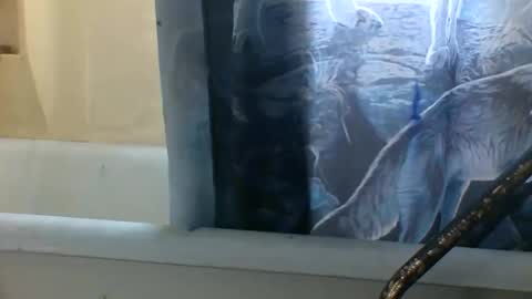 Snapshot of allwolf0323 chatting on November 2025 03:24:02 PM allwolf0323 online show from November 2025 03:24:02 PM