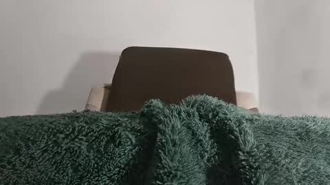 alotofcream4u online show from October 2025 05:30:01 AM