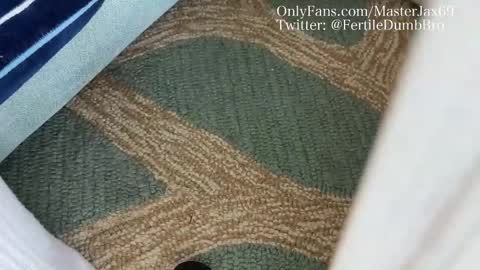 Snapshot of alphamasterjax chatting on October 2025 04:00:01 PM MasterJax69 online show from October 2025 04:00:01 PM