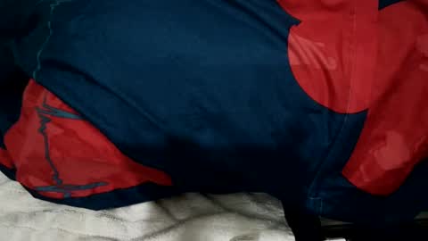 Snapshot of amadeusz chatting on December 2024 01:34:01 AM amadeusz online show from December 2024 01:34:01 AM