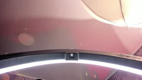 Amara Lewis online show from September 2025 12:20:01 PM