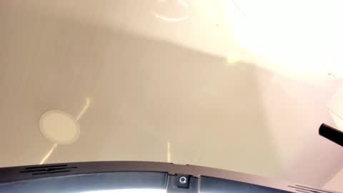 Amara Lewis online show from October 2025 12:14:02 PM