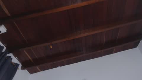   online show from October 2025 11:07:02 AM