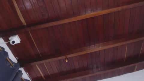   online show from October 2025 11:09:01 AM