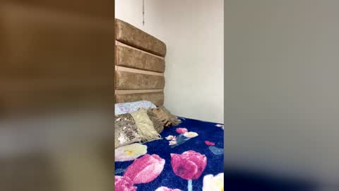 amber_bailey1 online show from December 2025 05:46:01 AM