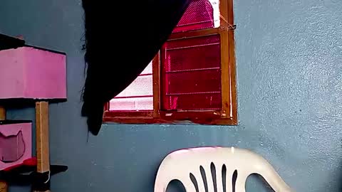 Snapshot of ameli_and_lucas chatting on November 2025 03:18:02 PM Amelia Lucas online show from November 2025 03:18:02 PM