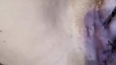 Snapshot of amileamariestar chatting on November 2025 05:25:01 PM amileamariestar online show from November 2025 05:25:01 PM