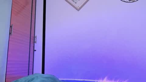 Amon online show from October 2025 03:42:01 AM