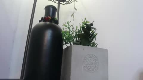 Snapshot of amy_swan09 chatting on February 2025 05:23:02 PM Amy online show from February 2025 05:23:02 PM