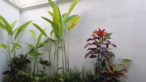 girl next door named Amy online show from March 2025 10:35:01 AM