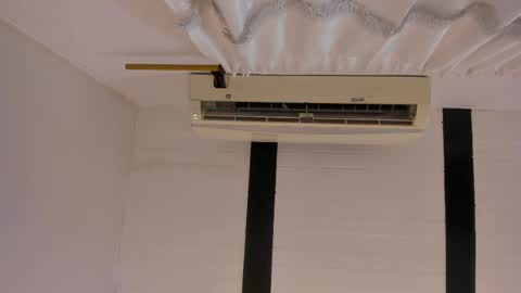 Amykord online show from October 2025 11:22:01 AM