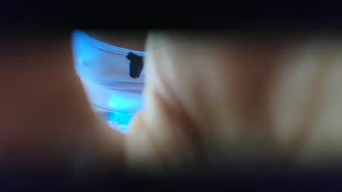 Salsita online show from December 2024 08:55:01 PM