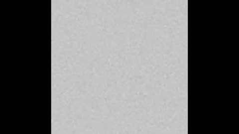 Andrea online show from December 2024 12:35:01 PM
