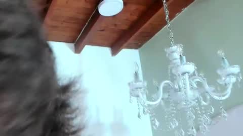 Angel Bennet online show from December 2024 08:00:02 AM