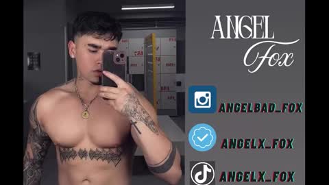 Angel Fox online show from November 2025 08:41:02 PM