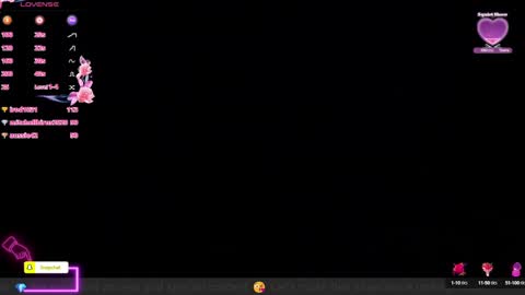 Snapshot of anierouse chatting on December 2024 09:08:02 PM ROUSE online show from December 2024 09:08:02 PM