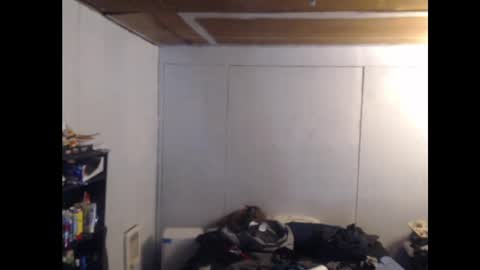 Ani online show from February 2025 11:08:02 AM