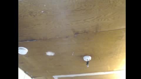 Ani online show from February 2025 02:11:02 PM