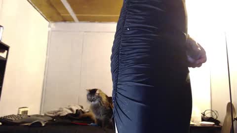 Ani online show from March 2025 10:26:02 AM