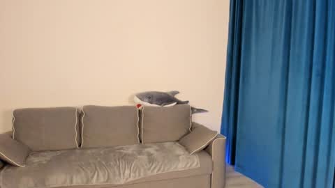 Snapshot of anna_miuu chatting on December 2024 05:37:01 AM anna miuu online show from December 2024 05:37:01 AM