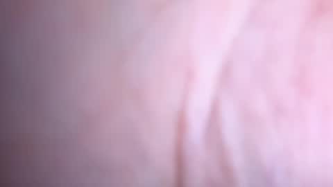 annaa__ online show from January 2025 02:41:01 AM