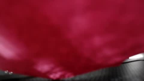 Snapshot of annaevodees666 chatting on December 2024 07:54:01 PM Anna Evodees online show from December 2024 07:54:01 PM