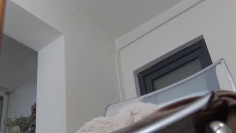 Snapshot of annyarose chatting on December 2024 11:45:02 AM Anna online show from December 2024 11:45:02 AM