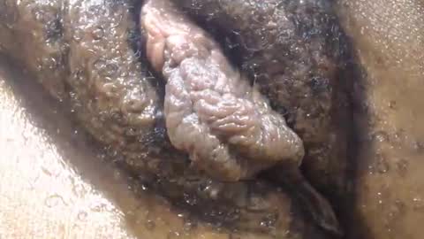 Anny online show from October 2025 05:24:02 PM