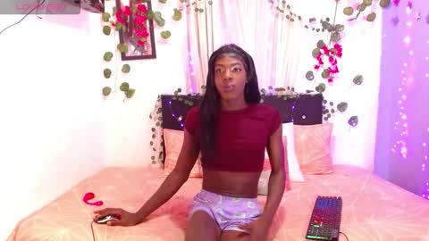 antonella747158 online show from November 2025 08:17:02 AM