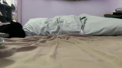 Snapshot of anytimexcowboy chatting on December 2025 09:29:01 AM cowboy online show from December 2025 09:29:01 AM