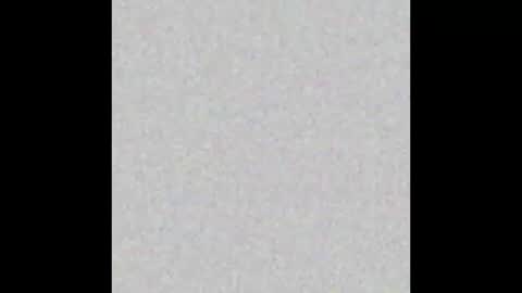 Arianna Collins online show from October 2025 11:44:01 AM