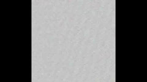 Arianna Collins online show from November 2025 11:44:01 AM