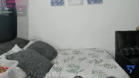 Ariana  Will online show from November 2025 11:04:02 PM