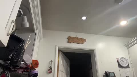 Aria online show from January 2025 03:51:02 AM