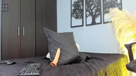 Snapshot of aron_bulgarelli_ chatting on January 2025 02:14:02 AM Aron online show from January 2025 02:14:02 AM