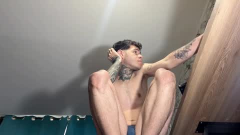 Snapshot of arteemiis chatting on December 2024 01:44:01 PM online show from December 2024 01:44:01 PM