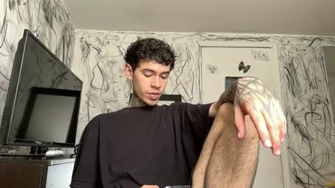 Snapshot of arteemiis chatting on January 2025 12:13:01 AM online show from January 2025 12:13:01 AM