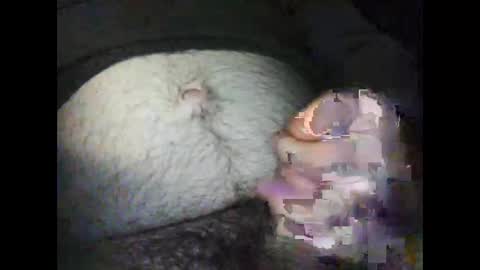 rocco online show from January 2025 05:03:01 AM