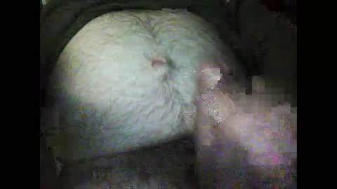 rocco online show from January 2025 12:31:02 AM