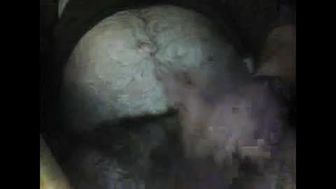 rocco online show from February 2025 04:53:01 AM