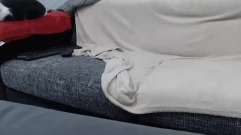 Snapshot of asshunnter chatting on January 2025 06:59:01 PM MARCO online show from January 2025 06:59:01 PM