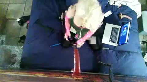 Sissy Athena online show from December 2024 10:44:02 AM