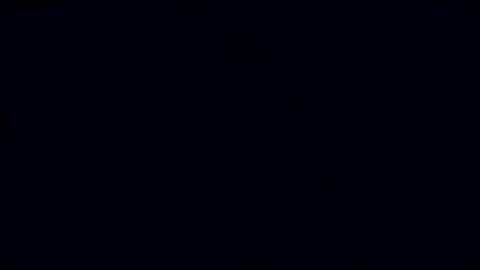 Lex online show from January 2025 05:15:02 AM
