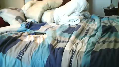 Austin online show from October 2025 10:26:01 AM