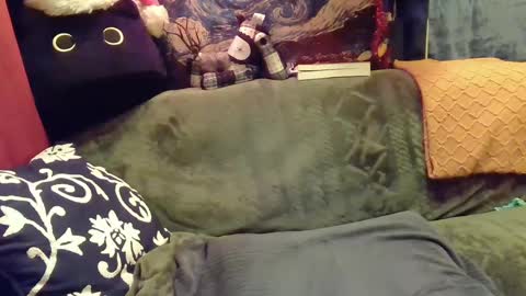 raven blue online show from December 2024 05:48:01 PM