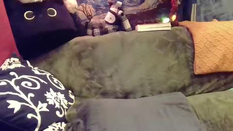 raven blue online show from December 2024 05:42:01 AM