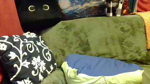 raven blue online show from January 2025 11:29:02 AM