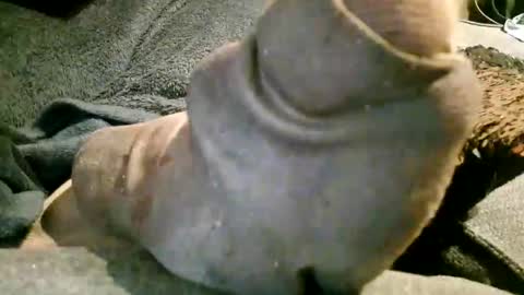 Axelle online show from November 2025 10:21:02 PM