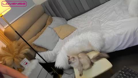 Snapshot of babygoddess4u chatting on October 2025 01:48:02 PM ASK ME IN PM online show from October 2025 01:48:02 PM